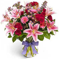 Flores