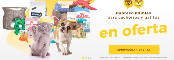 Miscota Mascotas
