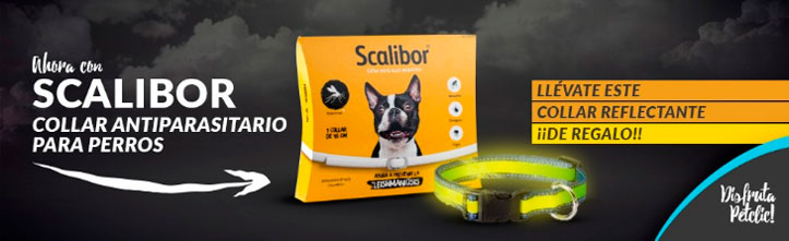 Petclic-Mascotas